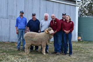 Top price doubles at Conrayn Merinos ram sale thanks to spirited bidding