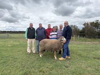 Late entry hits $7500 high as buyers flock to Coryule Merino stud's 12th sale