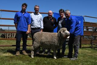 Buoyant local confidence at Carrabungla Merinos lifts ram sale figures