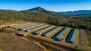Farm Sold - QLD - Aratula  - 4309 - Recently-Constructed Premium Broiler Farm 