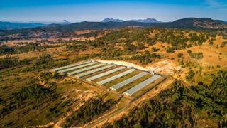 Farm Sold - QLD - Tamrookum - 4285 - Recently-Constructed Premium Broiler Farm 