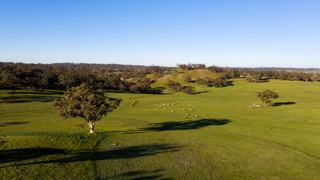 Farm Sold - SA - Moculta - 5353 - Karinya Station – Substantial Barossa Grazing Property with Historic Homestead 