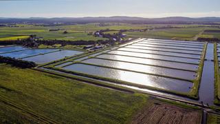 Farm For Sale - NSW - Palmers Island - 2463 - Who’s not heard of a YAMBA PRAWN? 