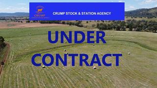 Farm Sold - NSW - Bingara - 2404 - Abundant Production Prospects