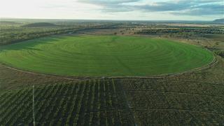 Farm Expressions of Interest - QLD - Rockhampton - 4700 - Large Scale Central Queensland Beef Cattle and Irrigated Fodder Portfolio