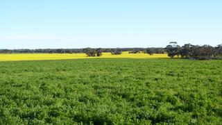 Farm Sold - SA - Bordertown - 5268 - 