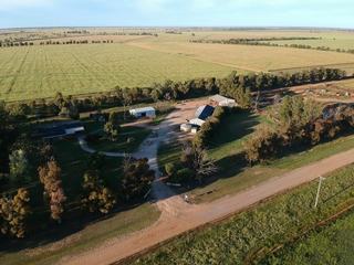 Farm Sold - NSW - Coleambally - 2707 - “Bundara” - Farm 636, 308 McLarty Road, Coleambally NSW