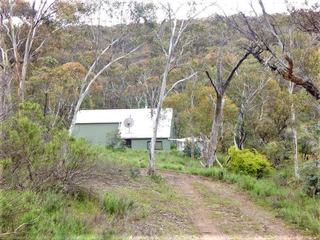 Farm Sold - NSW - Wambrook - 2620 - DRY PLAINS NSW Lot 8 - 60 ACRES WILDERNESS 
