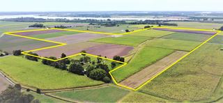 Farm For Sale - NSW - Harwood - 2465 - FARM Life - COASTAL Lifestyle – RARE Opportunity! 