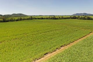 Farm Sold - QLD - Ingham - 4850 - Low Cost Cane Farm 