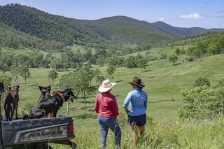 Farm Sold - QLD - Woolooga - 4570 -