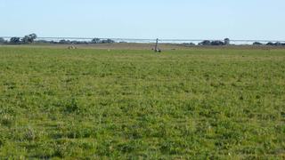 Farm Sold - SA -  Keith - 5267 - ***SOLD*** 