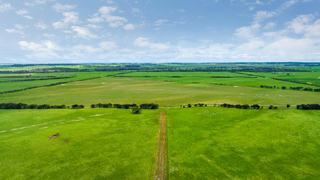 Farm Sold - SA - Bray - 5276 - Woodrise – A well-developed sheep and cattle property in the prized South East 