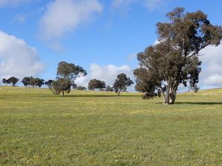 Farm Sold - SA - 