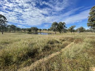 Farm For Sale - QLD - Eidsvold - 4627 - Opportunity not to be missed - Old Widbury - back on the market