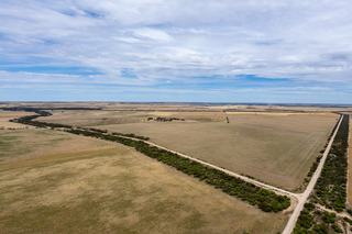 Farm For Sale - SA - Sherlock - 5301 - Cropping & Grazing 
