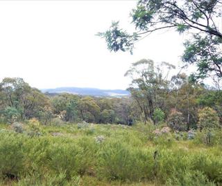 Farm Sold - NSW - Bombala - 2632 -
