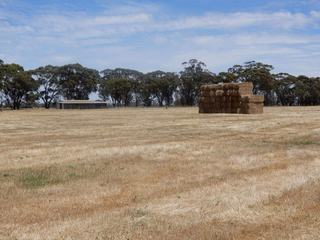 Farm Leased - VIC - Patyah - 3318 - Versatile Cropping Property Lease 