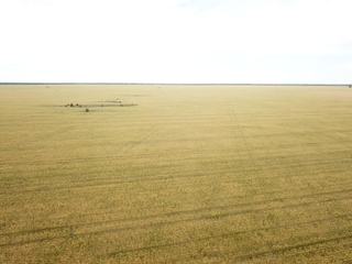 Farm Auction - NSW - MUNGINDI - 2406 - DIVERSE AGRICULTURE
