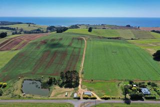 Farm Sold - TAS - Penguin - 7316 - Coastal climate- Productive soils 