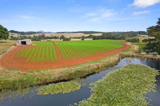 Farm Sold - TAS - Forth - 7310 - Passive Income - Development opportunities