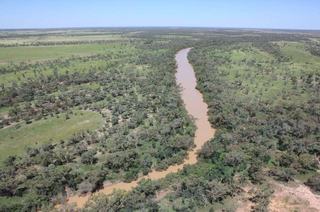 Farm For Sale - QLD - Blackall - 4472 - Excellent Water and Grazing Without Breaking the Bank! 