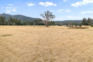 Farm Sold - TAS - Legerwood - 7263 - “Country, With Character” 