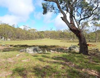 Farm Sold - NSW - Nimmitabel - 2631 - DUAL WATER PROPERTY – RIVER AND CREEK FRONTAGE 
