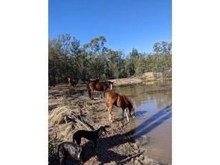 Farm Sold - QLD - Kogan - 4406 - Hideaway Location 