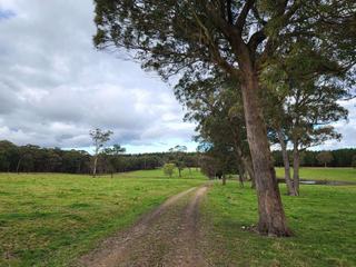 Farm Sold - NSW - Hampton - 2790 - Location, privacy and nature; nest in the impenetrable Hampton locality. 