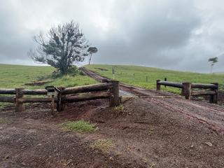 Farm Auction - qld - Tarzali - 4885 - Gilalli 