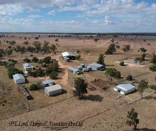 Farm Auction - NSW - Collie - 2827 -