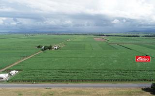 Farm Auction - QLD - Alexandra - 4740 - Sought After Farming Area 