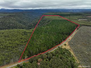 Farm For Sale - TAS - Parrawe - 7321 - Rare Forestry Opportunity Close to Hampshire Mill 