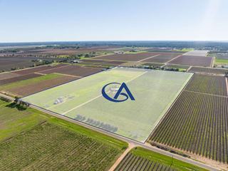 Farm For Sale - VIC - Yelta - 3505 -