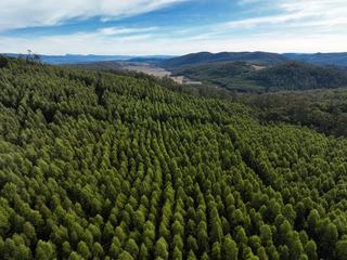 Farm For Sale - TAS - Pelham - 7030 - 