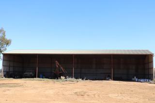 Farm For Sale - NSW - Forbes - 2871 - Droughtproof Fodder Factory with 1043 Ac Wheat included 