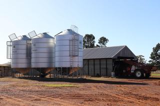 Farm For Sale - NSW - Trundle - 2875 - 2870 Ac of Crops Included + almost 2000 Ac Lucerne in 500-525mm Rainfall 