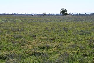 Farm Auction - SA - WILMINGTON - 5485 - The Estate of N C Noll