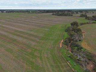 Farm Expressions of Interest - SA - Bowmans - 5550 - Cropping & Grazing Land