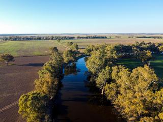 Farm Sold - NSW - Forbes - 2871 - ‘North Bogabigal’