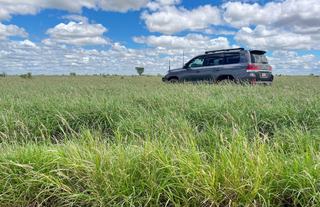 Farm For Sale - QLD - St George - 4487 - Experience quality backgrounding and fattening country - WIWO 