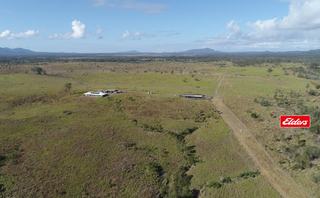 Farm Auction - QLD - Gindoran - 4676 - Quality – Breeding – Backgrounding 