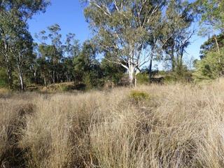 Farm Sold - QLD - Kogan - 4406 - Vacant block - great asset to own
