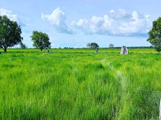 Farm Sold - NT - Darwin - 0820 - Woolner Station via Darwin