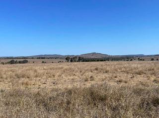 Farm For Sale - QLD - Selene Queensland - 4630 - Top Brigalow Country - Selene Area