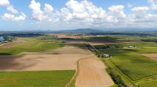 Farm For Sale - QLD - Mundoo - 4860 - Innisfail Sugarcane Aggregation