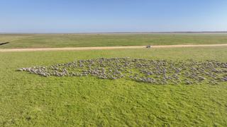 Farm Sold - SA - KEILIRA - 5275 - Keilira Station | Offered for the first time in almost 70 years