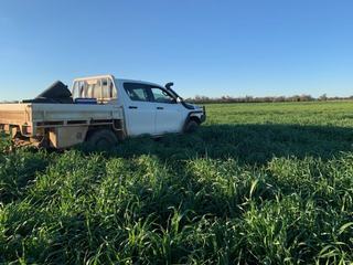 Farm For Sale - NSW - Kenebri - 2396 - Entry Level mixed farming with 21 inch rainfall