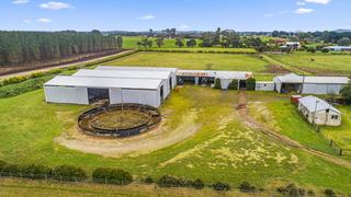 Farm For Sale - SA - Yahl - 5291 - Rural property with industrial shedding